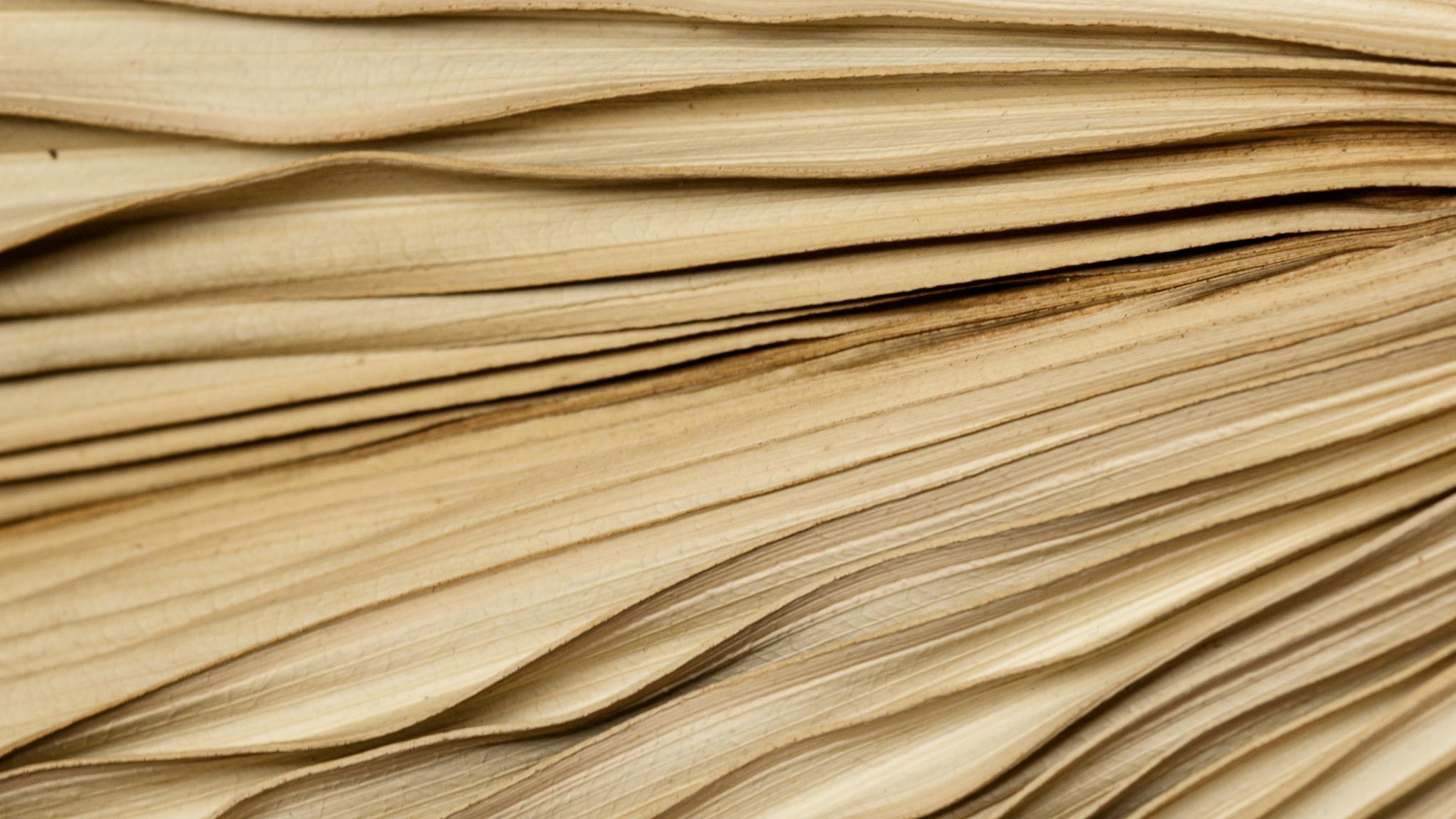 Detailed close-up image of old book pages showing textures and patterns.