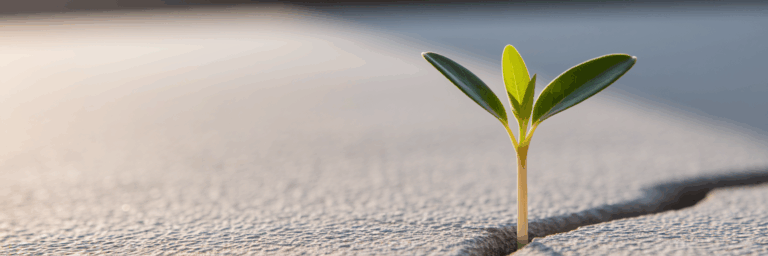 Small plant sprout growing through concrete.